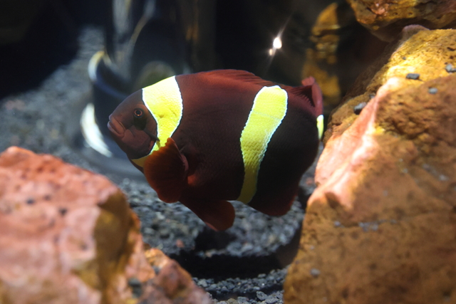 3D Vermelho N Mero 3 11297471 Png 3D Vermelho N Mero 3 11297471 Png