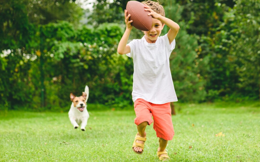 Clover Lawn Seed Online Clover Lawn Clover Grass Seed Js11 Jubilee Seeds Uk Clover Lawn Seed Online Clover Lawn Clover Grass Seed Js11 Jubilee Seeds Uk