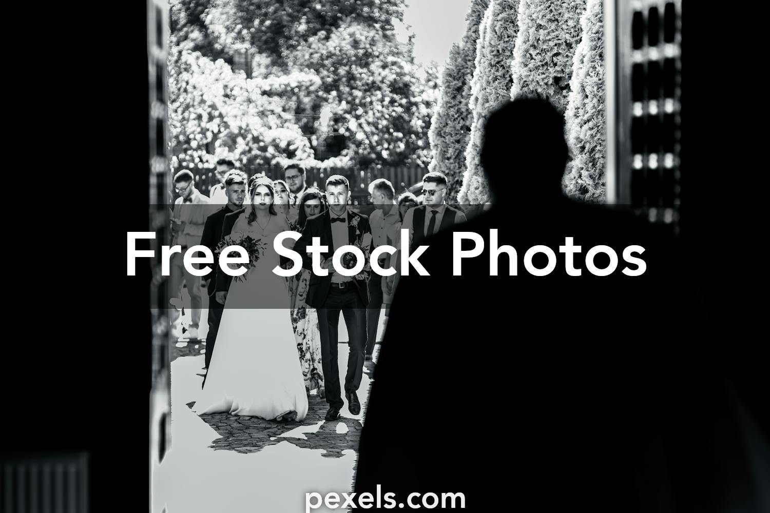 Hot Wives: Your Ultimate Fantasy Fulfilled.