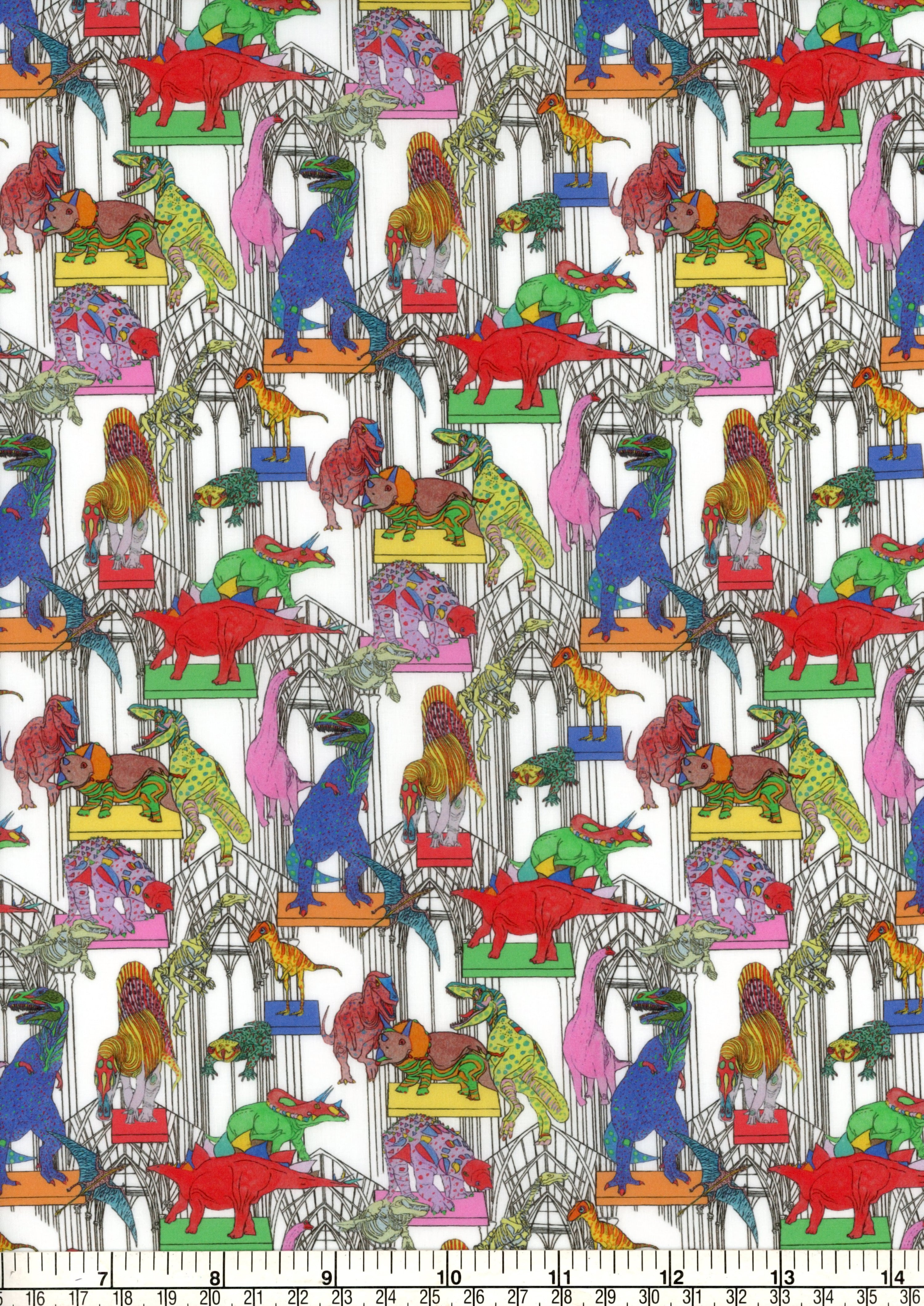 Learn More About Felines Teeth Claws Roars Strength And Balance