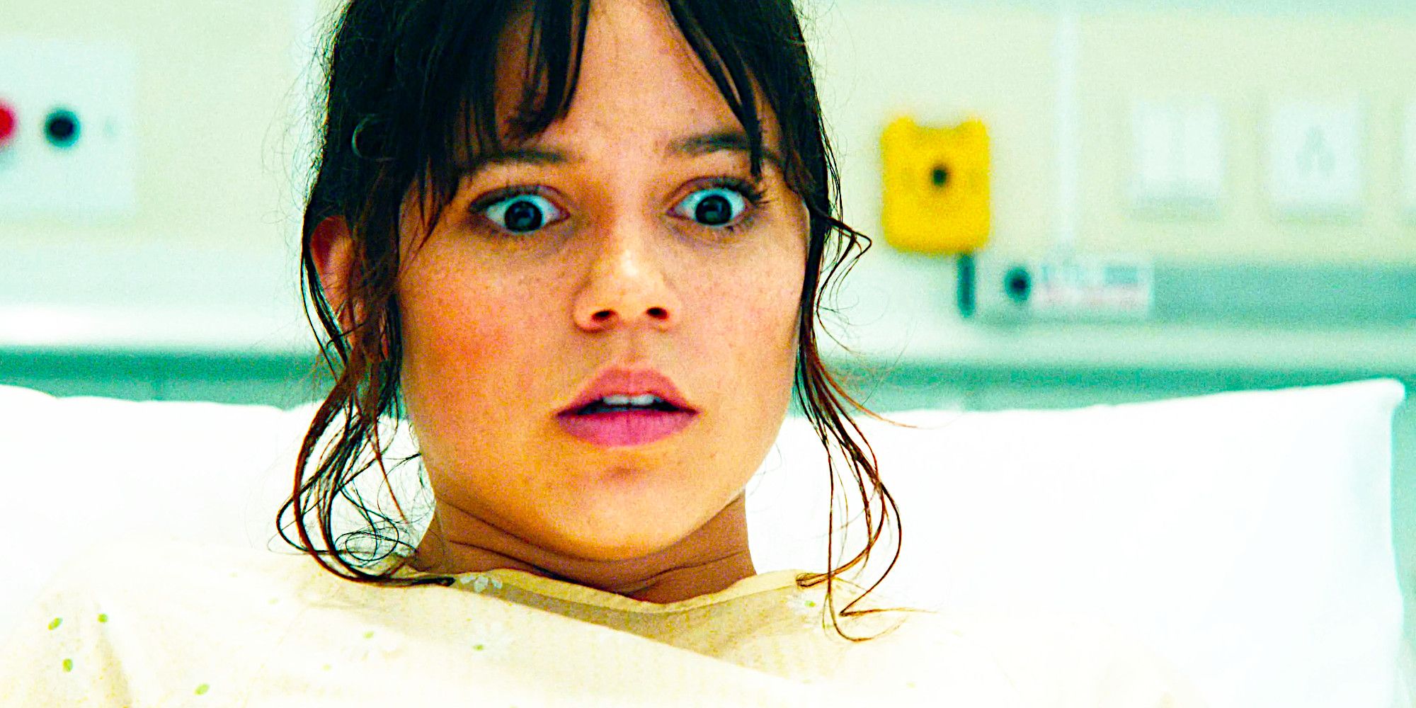 Love Lies Bleeding Ending Explained Love Lies Bleeding Ending Explained