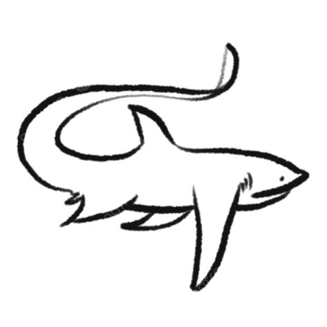 Shark Bae's Scandal: The Truth Revealed