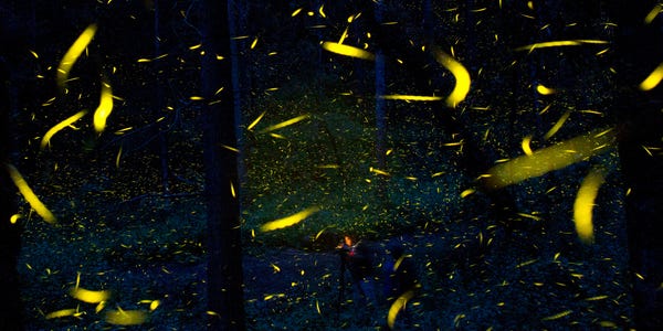 Simone M Scully Business Insider Simone M Scully Business Insider