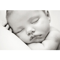 Sister Sister Dallas Family Sessions Miette Photography Sister Sister Dallas Family Sessions Miette Photography