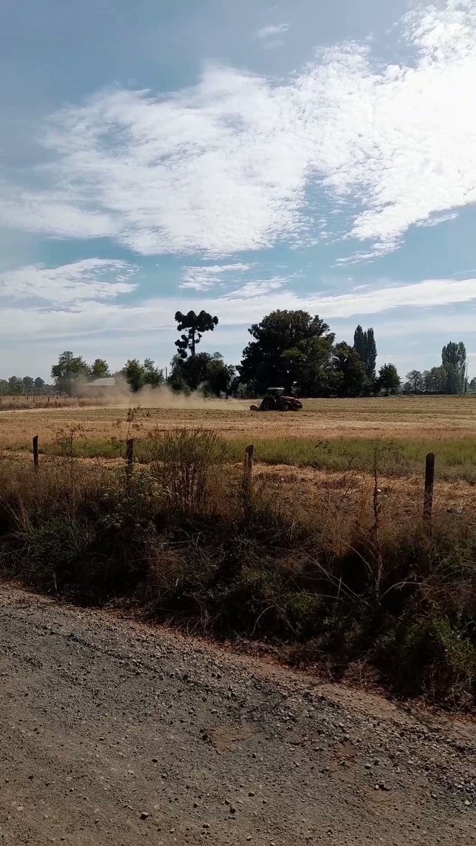 Tw Pornstars - Ciren Verde Top 1%. Twitter. What Naughty Things Are You Up To Today?. 9:40 Pm ...