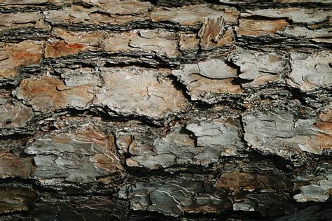 What Is Rough Texture In Art At Sofia Castleton Blog